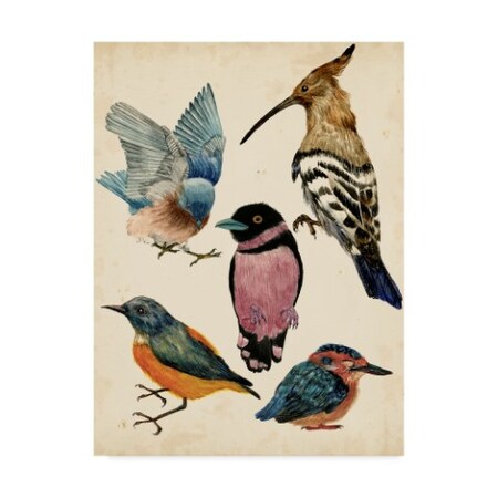 Trademark Fine Art Melissa Wang 'Bird Collection I' Canvas Art, 18x24 WAG07361-C1824GG